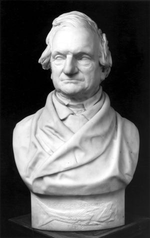 Adam Sedgwick